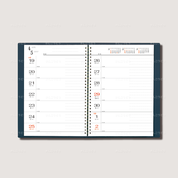 B5・DX２週間・リング