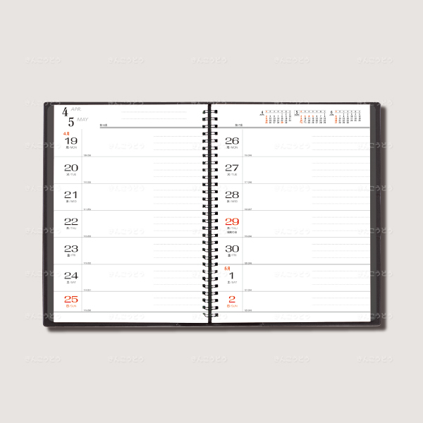 B5・2週間・リング