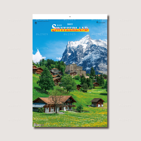 トーハン・DX  スイス　フィルム