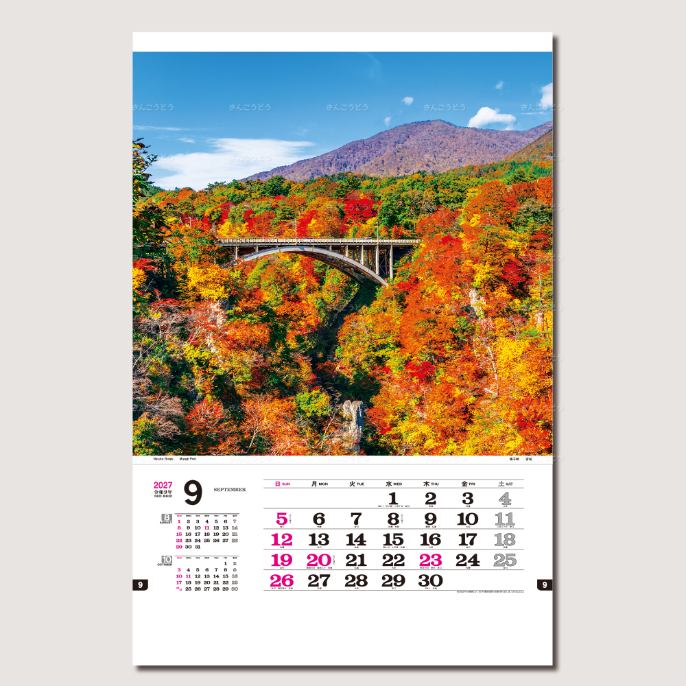 トーハン・ハイDX  日本の美　フィルム