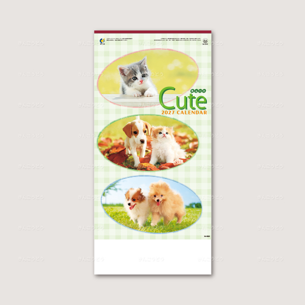 キュート（CUTE）