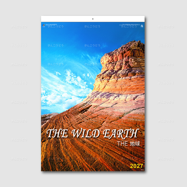 フィルム  THE地球