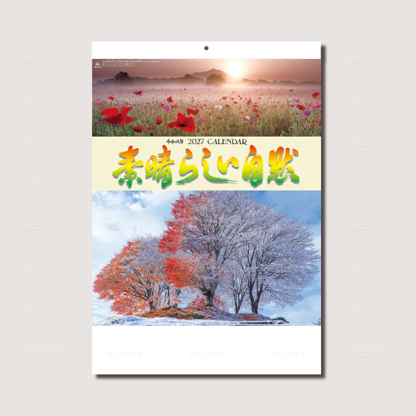 素晴らしい自然（シャッターメモ付）