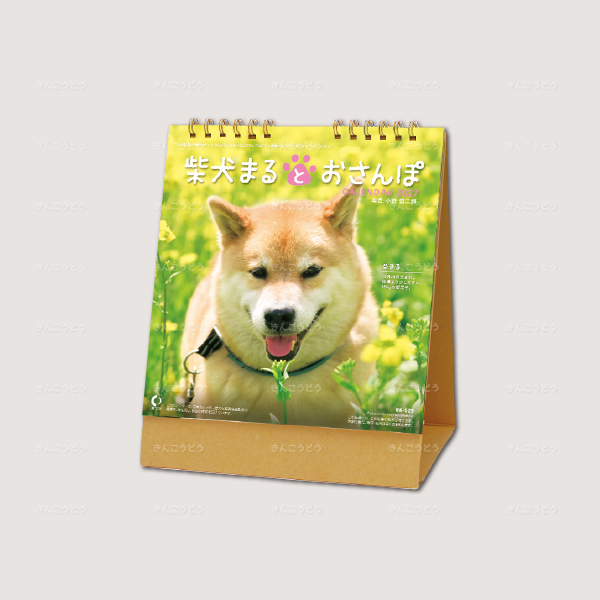 卓上カレンダー　柴犬まるとおさんぽ