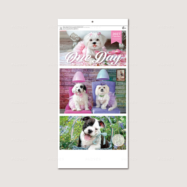 ワンディ（２か月文字）