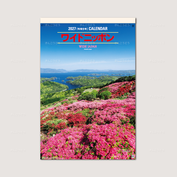 ワイドニッポン　フィルム