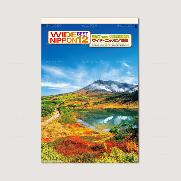 ワイドニッポン十二選　フィルム