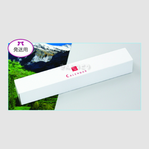 発送用ボックス　A2切・46/4切用（共通）