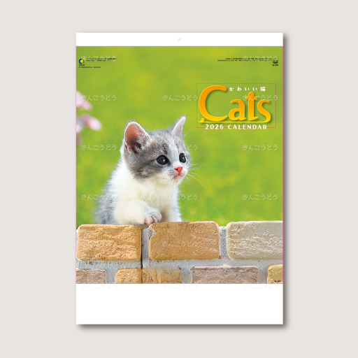 かわいい猫
