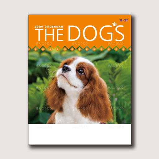 THE DOG's（ザ・ドッグス）