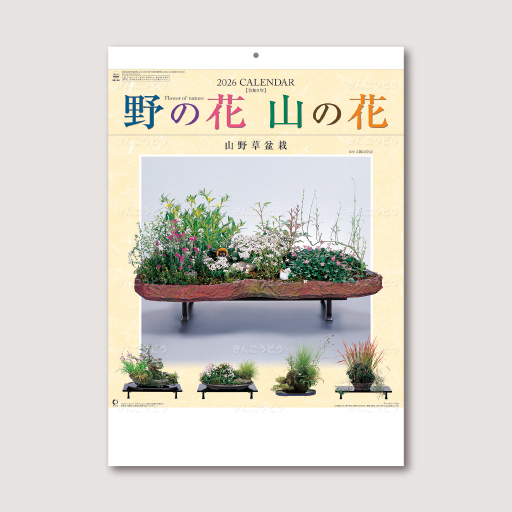 野の花・山の花（山野草盆栽集）