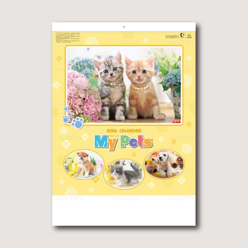 マイペット