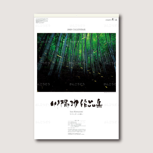 川隅功作品集　やすらぎへの誘い　フィルム