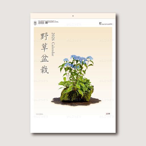 野草盆栽