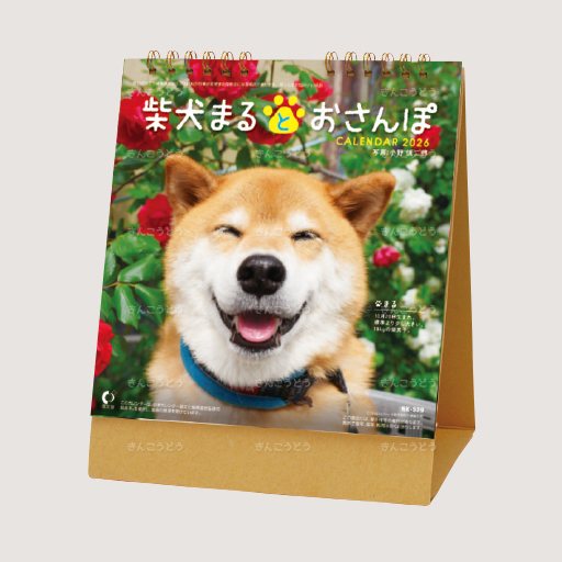 卓上カレンダー　柴犬まるとおさんぽ